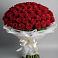Букет 101 Красная роза Блэк Мэджик в Петрозаводске
