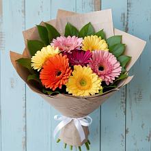 Букет цветов из:  Герберы в Петрозаводске