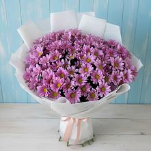Букет цветов из:  Хризантемы в Петрозаводске