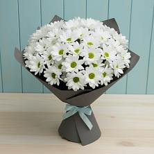 Букет белые хризантемы в Петрозаводске Букет цветов из:  Хризантемы в Петрозаводске