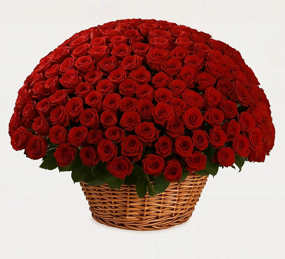 Премиум букет из: Розы в Петрозаводске