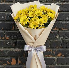 Букет цветов из:  Хризантемы в Петрозаводске