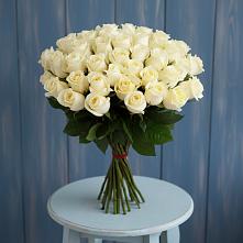 51 Белая роза Эдлесс Лав #REPLACE_PRED# Петрозаводске Букет 51 Белая роза Эдлесс Лав #REPLACE_PRED# Петрозаводске