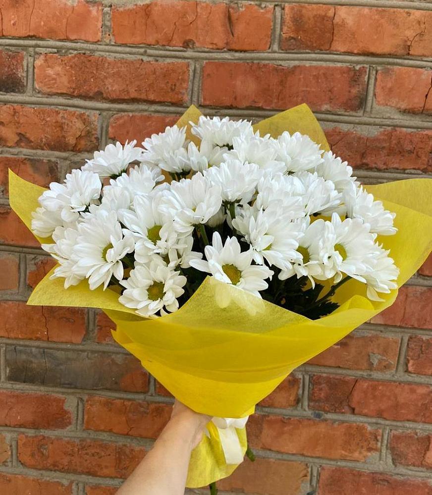 Букет цветов из: Хризантемы в Петрозаводске