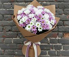 Букет цветов из:  Хризантемы в Петрозаводске