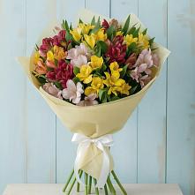 Букет цветов из:  Альстромерии в Петрозаводске