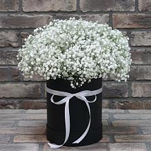 Цветочная композиция из Гипсофила в шляпной коробке в Петрозаводске
