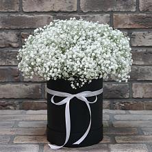 Композиция коробка гипсофил в Петрозаводске Цветочная композиция из Гипсофила в шляпной коробке в Петрозаводске