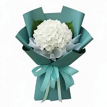 Букет цветов из:  Гортензия в Петрозаводске